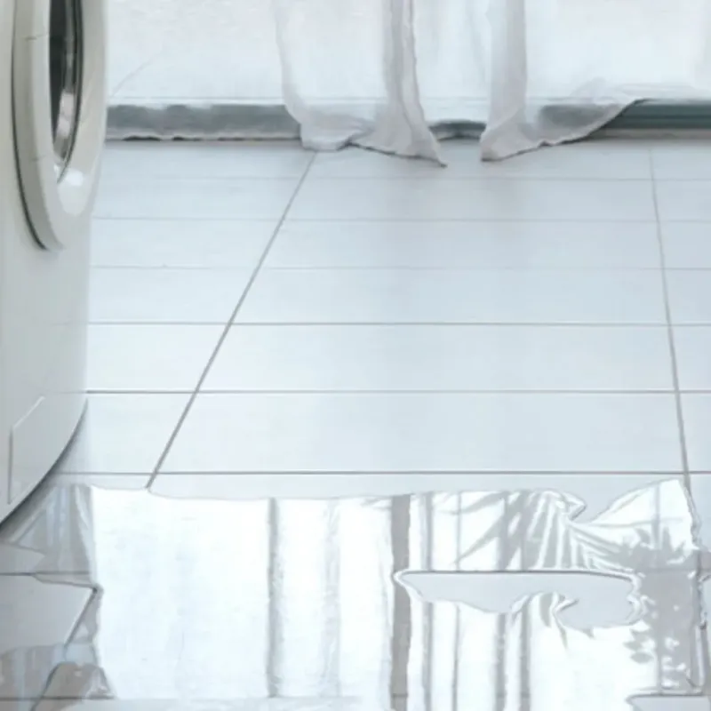 Appliance Leak Cleanup in Riverbend, WA
