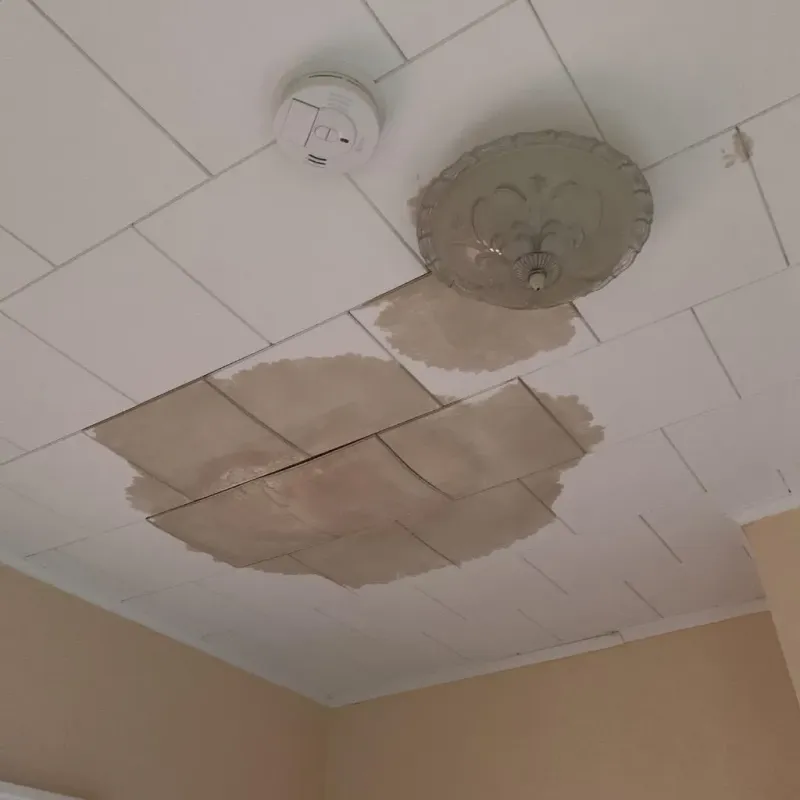 Ceiling Water Damage Repair in Riverbend, WA