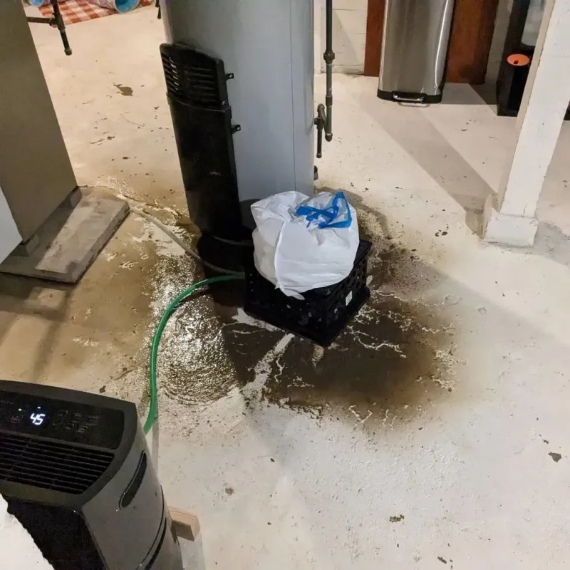 Sewage Backup Cleanup Service in Riverbend, WA